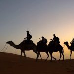Camel Ride Desert Tours