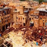 from Fes